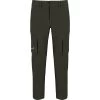 Salewa Puez Dynastretch Cargo Pants Homme
