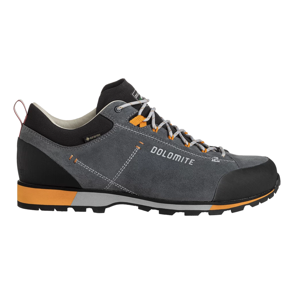 Dolomite 54 Hike Low Evo Gore-Tex Homme â Image 2
