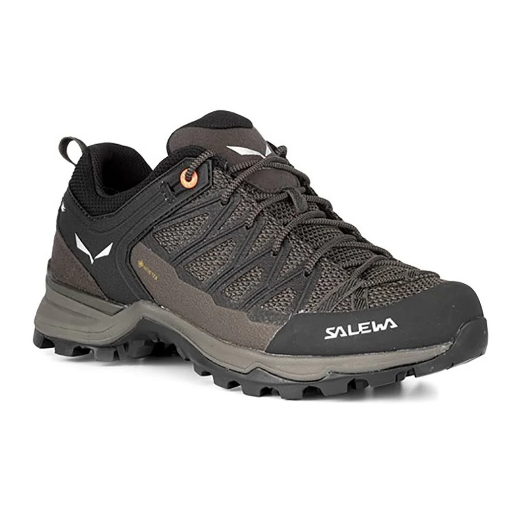 Salewa Mountain Trainer Lite Gore-Tex Femme Gris – Image 2