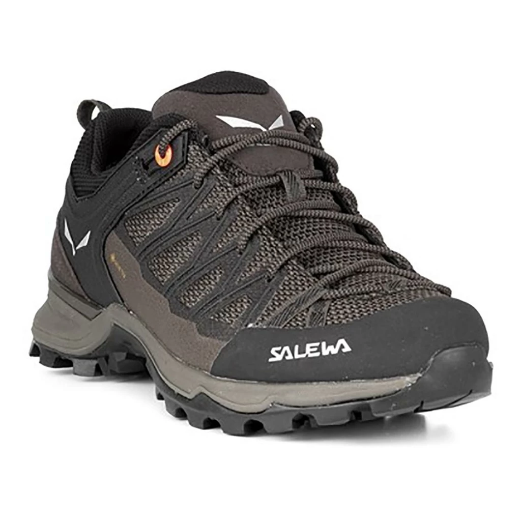 Salewa Mountain Trainer Lite Gore-Tex Femme Gris – Image 3