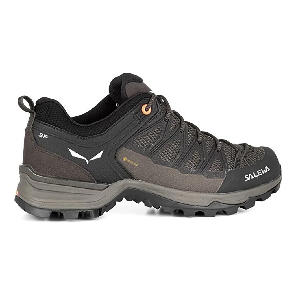 Salewa Mountain Trainer Lite Gore-Tex Femme Gris – Image 19