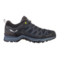 Salewa Mountain Trainer Lite Gore-Tex Homme Gris