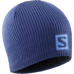 Salomon Logo Beanie Bleu