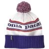 Patagonia Powder Town Beanie Blanc
